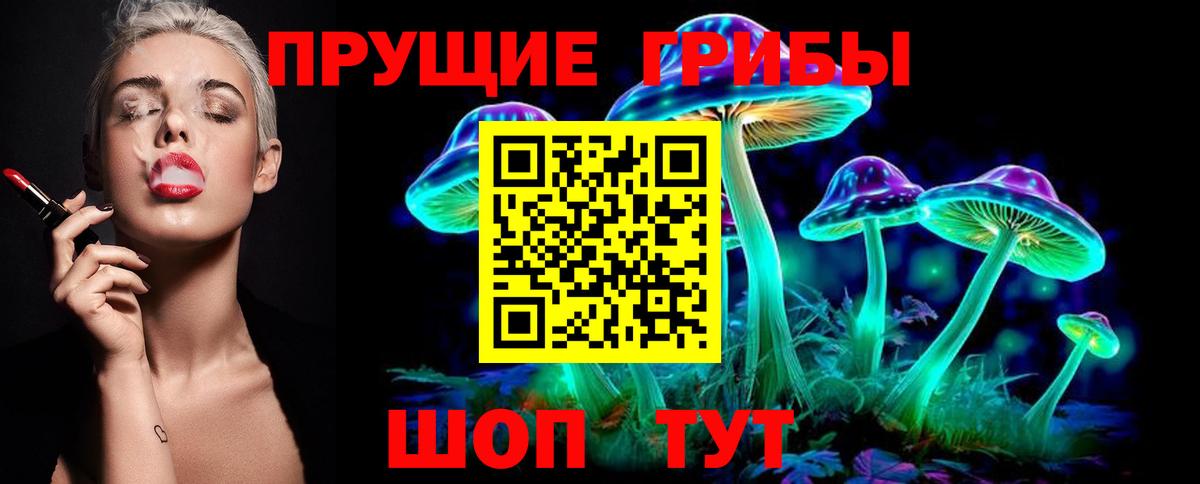 Галлюциногенные грибы Psilocybine cubensis Каспийск